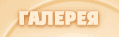Галерея работ